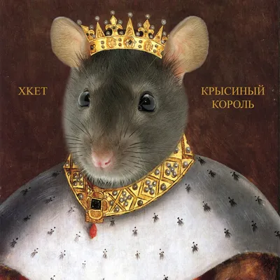 Эстонские ученые: в стране вновь обнаружен \"крысиный король\" | Эстония | ERR