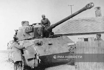Тяжелый немецкий танк «Королевский тигр» из 501-го тяжелого танкового  батальона СС, застрявший и уничтоженный советской артиллерией — военное фото