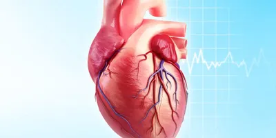 Стентирование сосудов сердца - Доказательная медицина для всех