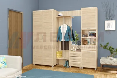 Модульная прихожая Домино купить в СПб по цене производителя –  интернет-магазин Дикси-Мебель