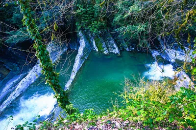 Драйв-джиппинг в Солох-аул: Ведьмина гора, Самшиты, источник и водопады в  Сочи - цена 2600 ₽