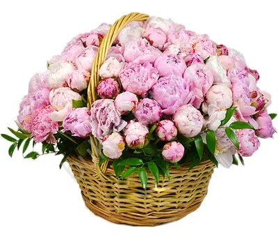 Корзина из пионов, тюльпан и роз заказать и купить в Москве за 28000 рублей  с бесплатной доставкой