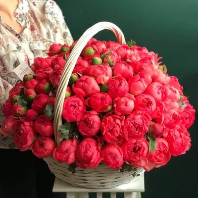 Купить большую корзину пионов | Розовые пионы Киев