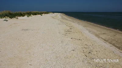 Беглицкая коса на Азовском море, километры безлюдных песчаных пляжей |  ТУРИСТОЧКА | Дзен