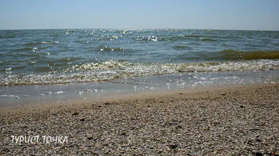 Беглицкая коса на Азовском море, километры безлюдных песчаных пляжей |  ТУРИСТОЧКА | Дзен