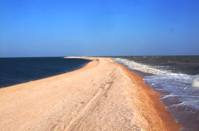 В Краснодарском крае нашли смертельный водоворот в Азовском море | Блокнот  Краснодар | Дзен