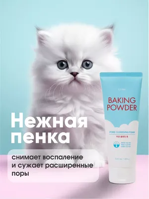 Антибактериальный шампунь Пероксикея при акне и себорейном дерматите для  собак и кошек, 240 мл. — купить в интернет-магазине по низкой цене на  Яндекс Маркете