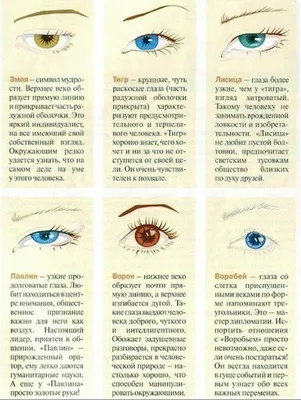 Что форма наших очей может рассказать о характере