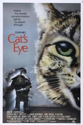Не смотрите кошке в глаза. Что хранят в себе эти мистические животные |  TOMEOW.RU | Дзен