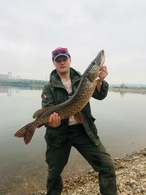 НЕ ПОПАДИСЬ НА КРЮЧОК БОЛЕЗНИ!!! | Сургутская городская клиническая  поликлиника № 4