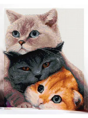 Кошачья любовь и обнимашки на фото - Zefirka