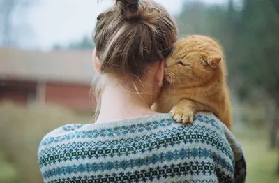 Вятские картины на холсте \"Весенняя кошачья любовь\" на подрамнике / декор  для дома / интерьер / на стену | AliExpress