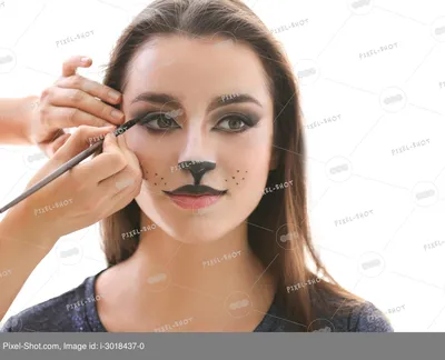 Кошачий глаз 2, упрощенная схема. Вечерний макияж | Отзывы покупателей |  Косметиста