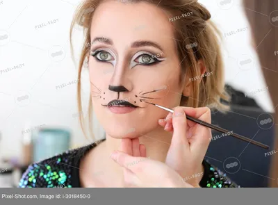 Визажист наносит макияж кошки на лицо красивой молодой женщины в салоне ::  Стоковая фотография :: Pixel-Shot Studio