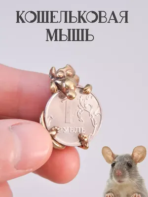 Купить Кулон ( оберег талисман ) Кошельковая мышь латунный (4415013) - HAKKI