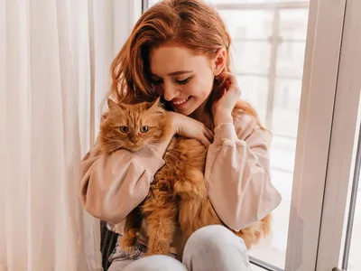 Annet - А МОГУТ ЛИ КОШКИ ЛЮБИТЬ 🐈🤔 ⠀ ... а также испытывать другие  человеческие эмоции? ⠀ ❌ Любовь - нет. 👉🏻 ПРИВЯЗАННОСТЬ - ✓да Отсюда  может быть и тревожность кошки, связанная