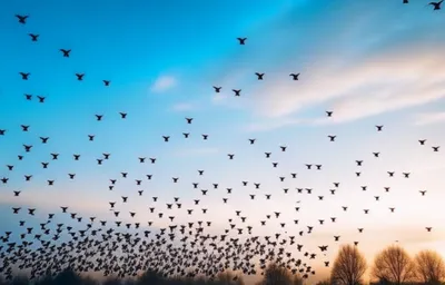 Стая Птиц Летающих Небе стоковое фото ©Wirestock 527254384