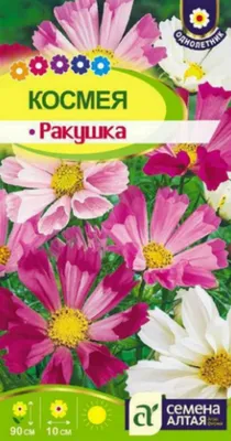 Космея Ракушка красная 0,1 г купить недорого в интернет-магазине товаров  для сада Бауцентр