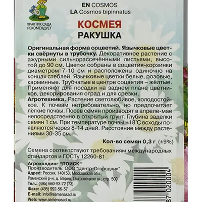 Галерея. Космея | Flower seeds, Seeds color, Sea shells