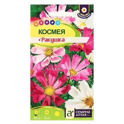 https://gurudom.kz/products/semena-cvetov-kosmeya-rakushka-krasnaya-0-1gr