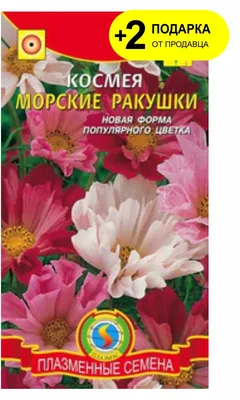 Семена однолетних цветов Космея Ракушка для сада и дачи Семена Алтая  54668181 купить за 136 ₽ в интернет-магазине Wildberries