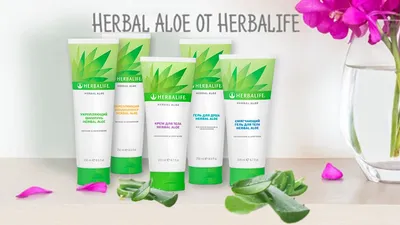 Крем для лица Herbalife SKIN Защитный SPF 30 - «Отличный дневной крем для  любого времени года» | отзывы