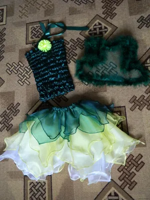 Enchanting Green Fairy Costume for Kids