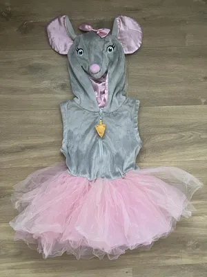 Директор Одесского зоопарка примерил костюм крысы (ВИДЕО)