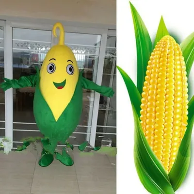 Костюм кукуруза 🌽 Размер стандарт... - Карнавальные костюмы | Facebook