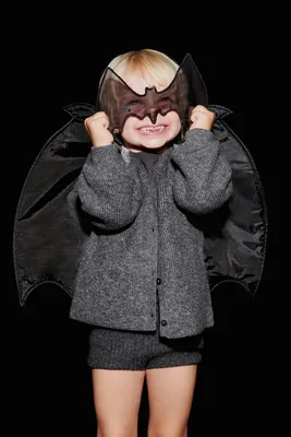 Хэллоуин летучая мышь костюм Китай поставщик животное крылья летучей мыши  поставщик,