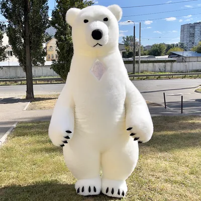 Костюм медведя надувной мех 4 см (ID#1682778073), цена: 31010 ₴, купить на  Prom.ua