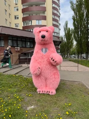 Надувной костюм Медведь Хеппи - Куклафан