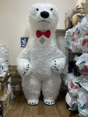 Костюм белого медведя: головной убор, комбинезон (Польша) | Как сделать  костюм, Костюм, Детские костюмы