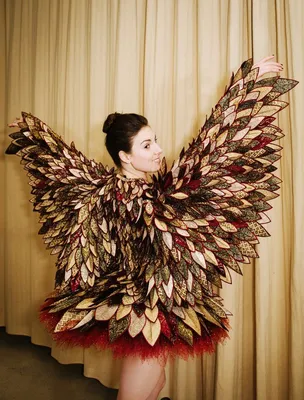 Fire Bird | Ballet costumes, Bird costume, City ballet