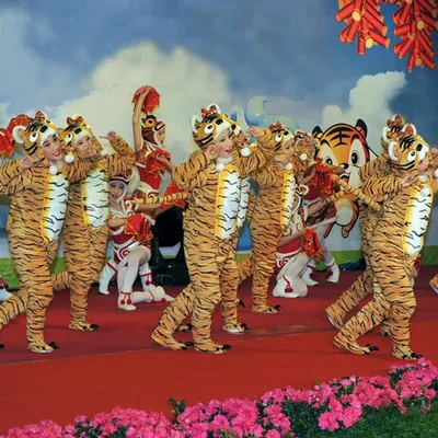 Детский карнавальный костюм Тигр, новогодний костюм тигра (ID#1515309148),  цена: 480 ₴, купить на Prom.ua