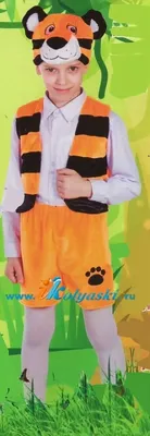 Детский костюм Тигры купить в Уфе - описание, цена, отзывы на Вкостюме.ру