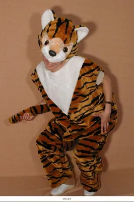 🛑ПРОДАН🛑Костюм тигра, на 5-6 лет, цена 2000 тенге  #новогодниекостюмывкомиссионке | Instagram