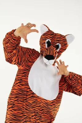 Карнавальний костюм тигра: цена 250 грн - купить Боди и человечки на ИЗИ |  Стрый