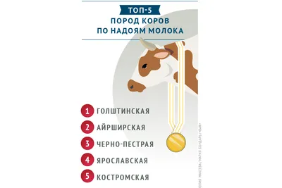 Костромская порода коров 2024 | ВКонтакте