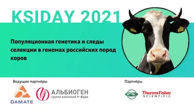 Костромская порода коров 2024 | ВКонтакте