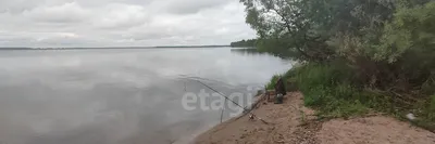 Крупнейшее озеро Костромской области будут спасать от превращения в болото  | ГТРК «Кострома»