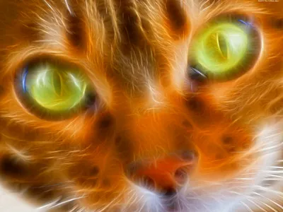 Кот с зелеными глазами - красивые фото