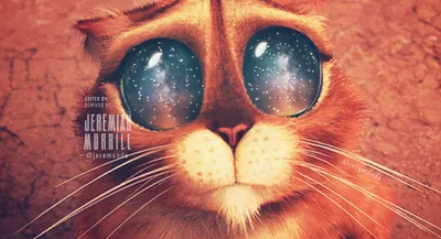 22 смешных ляпа из мультфильма «Кот в сапогах 2: Последнее желание»