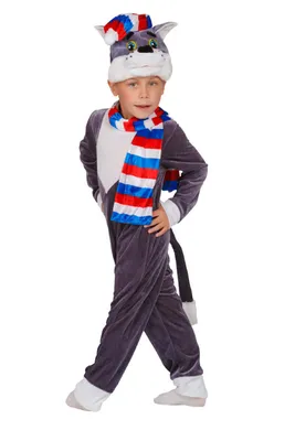Кот в шляпе, детский карнавальный костюм от торговой марки «Алиса»