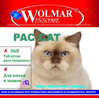 Дневник дебильного кота - купить по лучшей цене в Алматы | интернет-магазин  Технодом