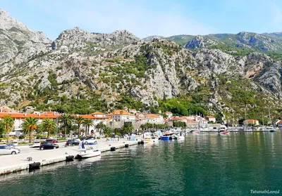 Пожалуй, одно из красивейших и «многолюднейших» мест (после Будвы, конечно  😅) - Которская бухта #mont #montenegro #chernogoria #balcans… | Instagram
