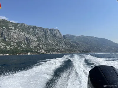 Которский залив в Черногории - описание и фотографии