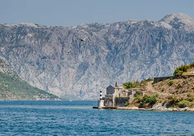 Поездка по Которской бухте | Путеводитель по Черногории