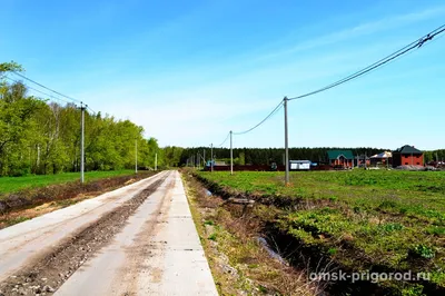 Пушкинский лес