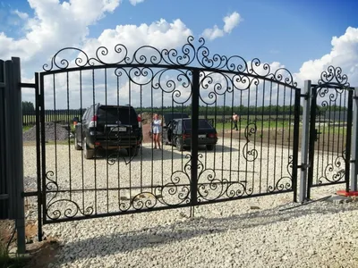 Ворота, ковка, кованые ворота с профлистом: цена 25000 грн - купить Заборы  и ограждения на ИЗИ | Днепропетровская область